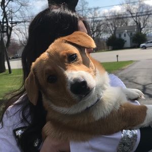 Meet your Posher, Alexis